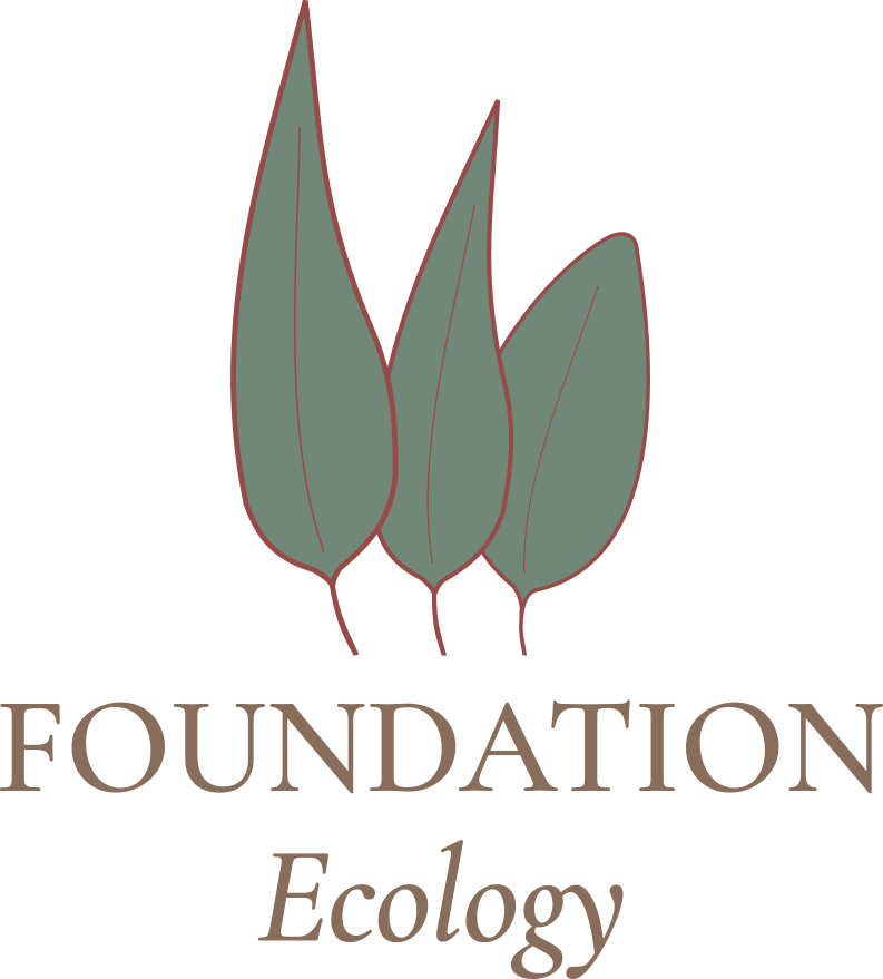 FOUNDATION Ecology logo above the business name.